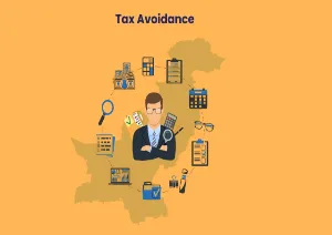 This Image is About  Tax Avoidance in Pakistan