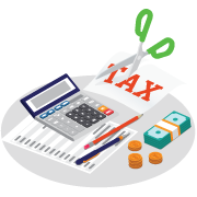 Professional tax consultant